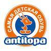 Antilopa